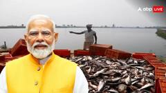 प्रधानमंत्री मत्स्य संपदा योजना में किन लोगों को मिलता है लाभ, क्या है आवेदन की प्रक्रिया, जानें सब बातें