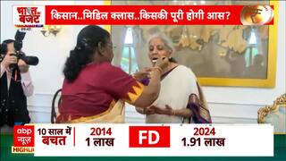 Union Budget 2024: Will This Budget Derive The Formula Of Viksit Bharat? | ABP News