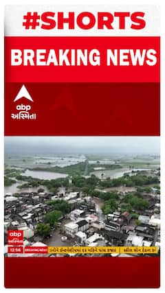 Manavadar Flood | માણાવદરના ધૂંધવી ગામમાં ફરી વળ્યા નદીના પાણી