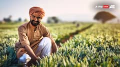 Union Budget 2024: Govt Allocates Rs 1.52 Lakh Crore For Agriculture And Allied Sectors