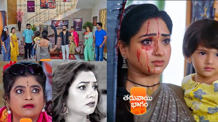 trinayani serial today july 23rd episode written update in telugu Trinayani Serial Today July 23rd: 'త్రినయని' సీరియల్: గాయత్రీదేవి అండతో మాంత్రికుడిని చంపేసిన నయని.. గెటప్ మార్చేసిన గంటలమ్మ!