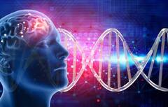 Epilepsy Symptoms: ਮਿਰਗੀ ਦਾ ਦੌਰਾ ਪੈਣ ਤੋਂ ਪਹਿਲਾਂ ਸਰੀਰ 'ਚ ਨਜ਼ਰ ਆਉਂਦੇ ਆਹ ਲੱਛਣ