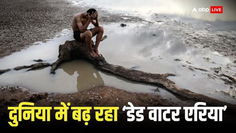 Dead water area is increasing in the world oxygen dissolved in water impact on life cycle World Dead Water: जल निकायों में बढ़ रहा 'डेड एरिया,' जीवनचक्र पर पड़ रहा असर, सबकुछ हो सकता है खत्म