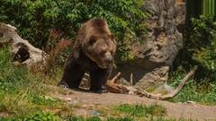 Best Park: વરસાદની સિઝનમાં હરવા-ફરવા માટે બેસ્ટ છે દેશના આ જાણીતા નેશનલ પાર્ક