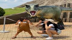 છૂટાછેડા બાદ પુત્ર સાથે ફરવા નીકળી નતાશા, હાર્દિક પંડ્યાએ એક્સ વાઇફના ફોટા પર કરી આવી કોમેન્ટ