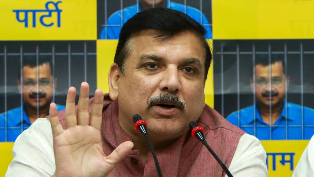 Union Budget 2024 AAP MP Sanjay Singh Reaction On PM Narendra Modi Government Budget Budget 2024: 'मोदी सरकार की प्राथमिकता देश के छोटे लोगों को...', बजट पर संजय सिंह की प्रतिक्रिया