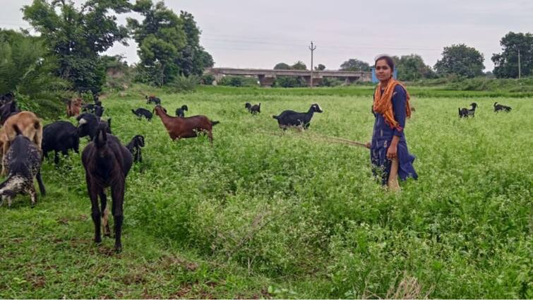 Telangana Tribal Girl Cracks IIT But Almost Settles For Farm Work Due To Cash Crunch. Govt Steps In Telangana Tribal Girl Cracks IIT But Almost Settles For Farm Work Due To Cash Crunch. Govt Steps In