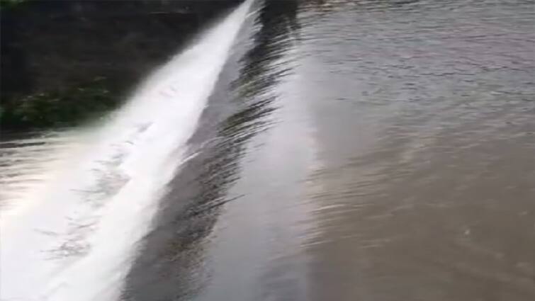 Junagadh Rain Hasnapur Dam considered the paradise of Sorath and situated in the lap of Girnar was flooded Junagadh Rain: સોરઠનું સ્વર્ગ માનવામાં આવતો અને ગિરનારની ગોદમાં આવેલો હસ્નાપુર ડેમ છલકાયો