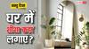 Vastu Tips: आइना भी कर सकता है भाग्य को खराब, घर में किस जगह पर लगाना चाहिए शीशा, जानें