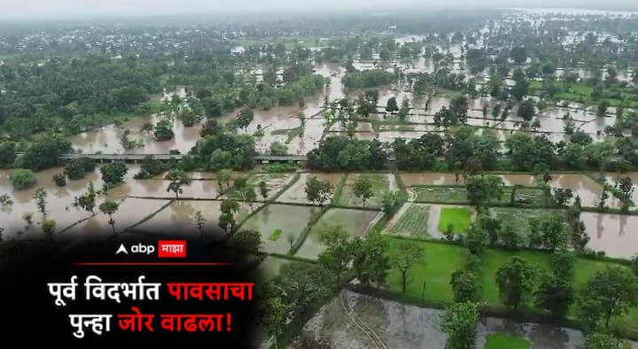 Heavy Rain : गेल्या काही दिवसापासून उपराजधानी नागपूरसह (Nagpur News) पूर्व विदर्भात सुरू असलेल्या  धुव्वाधार पावसाने (Heavy Rain) सर्वत्र एकाच दाणादाण उडवली आहे.