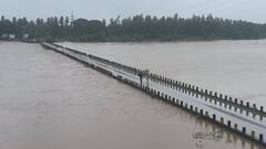 Rain: રાજ્યમાં આ સીઝનમાં કુલ સરેરાશ 48 ટકાથી વધુ વરસ્યો વરસાદ, કચ્છ ઝોનમાં સૌથી વધુ