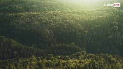 કરોડો વર્ષ જૂનું તે જંગલ કે જેનો 75 ટકા હિસ્સો હજુ પણ રહસ્યમય છે