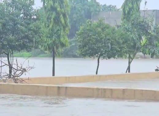 Forecast of heavy rain in this district of Gujarat today Meteorological department has given red alert for rain in this district of Saurashtra today Gujarat Rain Forecast: ગુજરાતના આ જિલ્લામાં અતિભારે વરસાદની આગાહી, હવામાન વિભાગે આપ્યું એલર્ટ