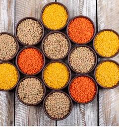 Protein Diet: ਅੰਡੋ ਤੋਂ ਇਲਾਵਾ ਇਹ ਚੀਜ਼ਾਂ ਪ੍ਰੋਟੀਨ ਦੀ ਖਾਨ...ਸ਼ਾਕਾਹਾਰੀ ਲੋਕਾਂ ਲਈ ਵਰਦਾਨ