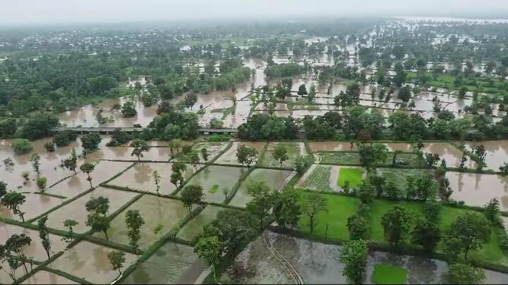 गेल्या काही दिवसापासून उपराजधानी नागपूरसह (Nagpur News) विदर्भात सुरू असलेल्या  धुव्वाधार पावसाने (Heavy Rain सर्वत्र एकाच दाणादाण उडवली आहे.