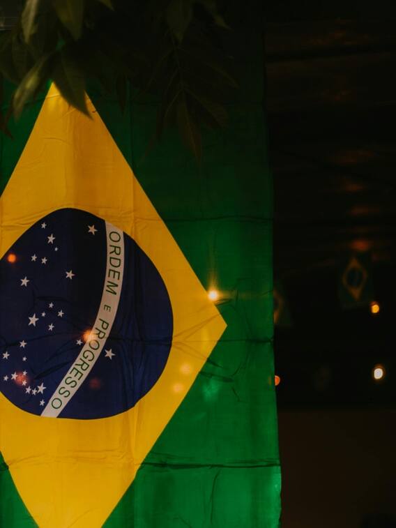 ब्राजील का बॉर्डर कितने देशों को छूता है?