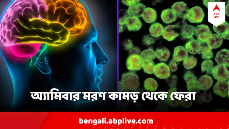 14 years old survived miraculously from Brain Eating Amoeba Causes meningoencephalitis In Kerala Meningoencephalitis: মাথার ভিতরে প্রাণঘাতী অ্যামিবা, নিশ্চিত মৃত্যু-মুখ থেকে ফিরল কেরলের কিশোর, কী সেই মারণরোগ?