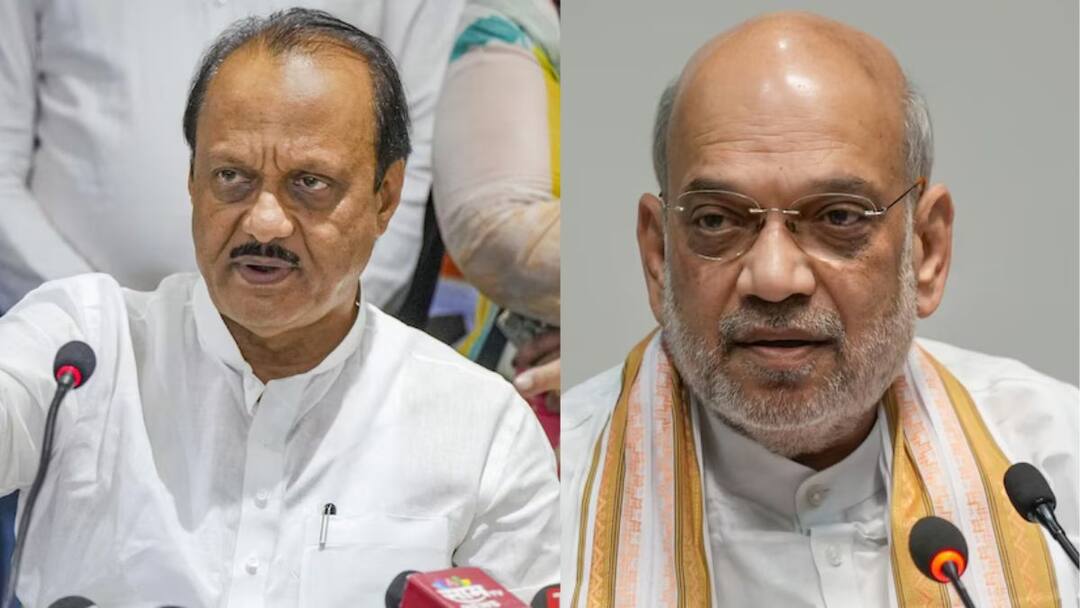 फडणवीसांच्या भेटीआधी अजित पवार रात्री एक वाजता अमित शाहांच्या भेटीला; दिल्लीत मध्यरात्री मोठी खलबतं Before Devendra Fadnavis Ajit Pawar met Amit Shah is reported meeting was held to discuss preparations for assembly elections फडणवीसांच्या भेटीआधी अजित पवार रात्री एक वाजता अमित शाहांच्या भेटीला; दिल्लीत मध्यरात्री मोठी खलबतं