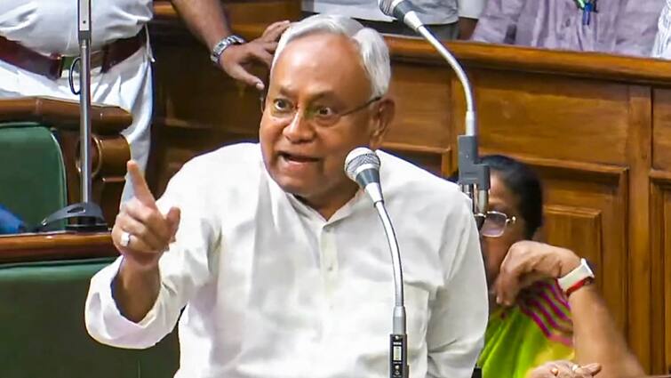 Nitish Kumar RJD MLA Ruckus Reservation Assembly You Are A Woman Dont You Know Anything 'You Are A Woman, Don't You Know Anything?': Nitish Kumar To RJD MLA Amid Ruckus Over Reservation In Assembly