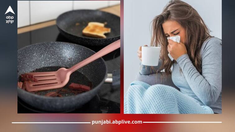 'Teflon flu' caused by cooking in non-stick utensils? For which people are more dangerous, know symptoms and causes Teflon Flu: ਨਾਨ-ਸਟਿਕ ਬਰਤਨਾਂ 'ਚ ਖਾਣਾ ਪਕਾਉਣ ਨਾਲ ਹੁੰਦਾ 'ਟੇਫਲੋਨ ਫਲੂ'? ਕਿਹੜੇ ਲੋਕਾਂ ਲਈ ਜ਼ਿਆਦਾ ਖਤਰਨਾਕ, ਜਾਣੋ ਲੱਛਣ ਅਤੇ ਕਾਰਨ