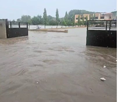 સુરતના ઉમરપાડામાં બારેમેઘખાંગા, 24 કલાકમાં 11 ઇંચ, છેલ્લા 24 કલાકમાં 206 તાલુકામાં વરસ્યો વરસાદ Find out how much rain has fallen in 24 hours in 206 talukas of Gujarat સુરતના ઉમરપાડામાં બારેમેઘખાંગા, 24 કલાકમાં 11 ઇંચ, છેલ્લા 24 કલાકમાં 206 તાલુકામાં વરસ્યો વરસાદ