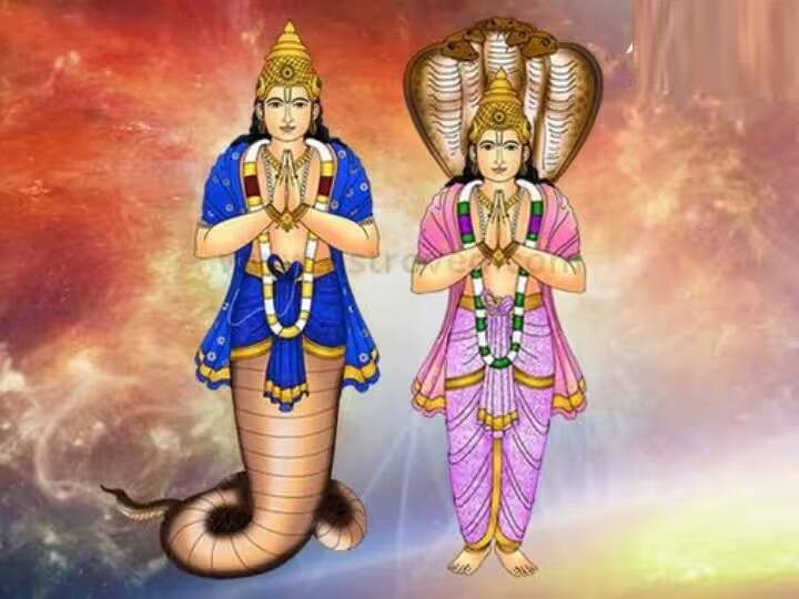 Rahu-Ketu: જ્યોતિશ શાસ્ત્ર વિશે જાણવું દરેકે જરૂરી છે, જ્યોતિષમાં કયો ગ્રહ ગરીબી અને તેની સાથે સંબંધિત સમસ્યાઓ માટે જવાબદાર છે. તેનાથી બચવા માટે કયા ઉપાયો કરવા જોઈએ તે પણ જાણી લેવી જરૂરી બને છે. રાહુ અને કેતુ બંને છાયા ગ્રહો છે. તેમનું નામ સાંભળીને લોકો ઘણીવાર ડરી જાય છે. કારણ કે કુંડળીમાં રાહુ-કેતુની અશુભ અસરને કારણે માણસ પરેશાનીઓ અને સમસ્યાઓથી ઘેરાઈ જાય છે.