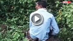 शौच कर रहा था शख्स, तभी अजगर ने की निगलने की कोशिश, फिर...जबलपुर का वीडियो वायरल