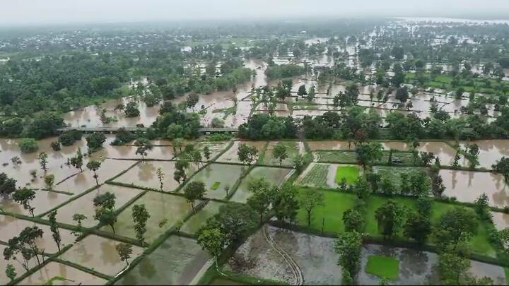 तर पूर्व विदर्भात अतिवृष्टी सदृश्य  पावसामुळं (Heavy Rain) जनजीवन विस्कळीत झालं असून शहरातील रस्त्यांना नदी नाल्याचे स्वरूप प्राप्त झालं आहे.