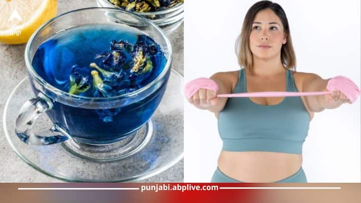 Blue Tea Benefits: ਬਲੂ ਟੀ ਬਣਾਉਣ ਲਈ ਅਪਰਾਜਿਤਾ ਦੇ ਫੁੱਲ ਚਾਹੀਦੇ ਹਨ। ਆਯੁਰਵੇਦ ਵਿੱਚ ਅਪਰਾਜਿਤਾ ਦੇ ਫੁੱਲ ਦੀ ਵਰਤੋਂ ਦਵਾਈ ਦੇ ਰੂਪ ਵਿੱਚ ਕੀਤੀ ਜਾਂਦੀ ਹੈ। ਆਓ  ਜਾਣਦੇ ਹਾਂ ਇਸ ਨੀਲੀ ਚਾਹ ਦੇ ਕੀ-ਕੀ ਫਾਇਦੇ ਹਨ।