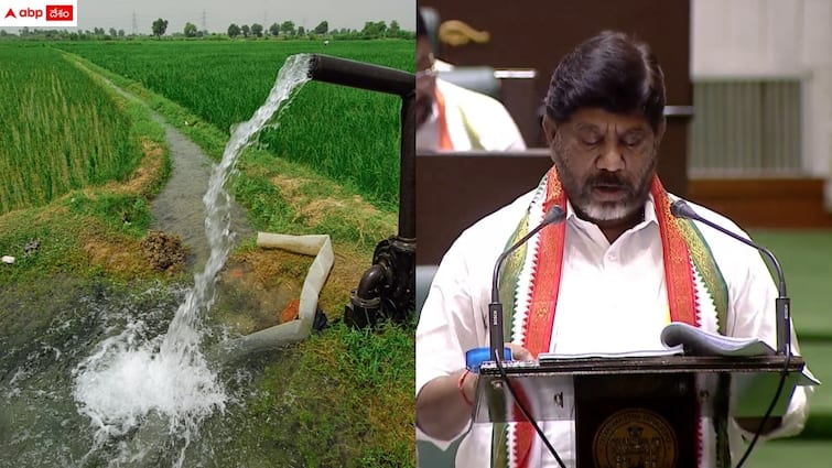 telangana government more focus on agriculture in latest budget Telangana Budget 2024-25: వ్యవ'సాయమే' ప్రాధాన్యం - రైతులకు బడ్జెట్‌లో గుడ్ న్యూస్, రూ.500 బోనస్‌పై కీలక ప్రకటన