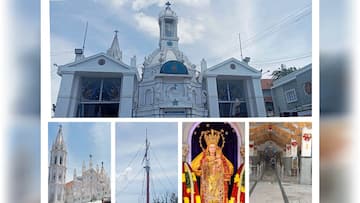 தூத்துக்குடி தூய பனிமய மாதா பேராலய  442ஆம் ஆண்டு திருவிழா நாளை கொடியேற்றத்துடன் தொடக்கம்