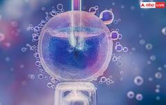 Health: ਕੀ ਕੋਈ ਵੀ IVF ਰਾਹੀਂ ਬੱਚਾ ਕਰ ਸਕਦਾ ਪੈਦਾ? ਜਾਣੋ ਕਿੰਨਾ ਹੁੰਦਾ ਸਕਸੈਸ ਰੇਟ