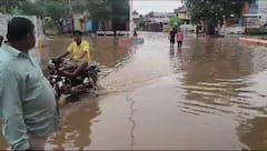 Gujarat Rain: ગુજરાતના આ જિલ્લામાં ભારે વરસાદ બન્યો આફતરૂપ, 8નાં મોત, 800થી વધુનું સ્થળાંતર
