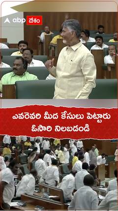 ఎవరెవరి మీద కేసులు పెట్టారు ఓసారి నిలబడండి.!