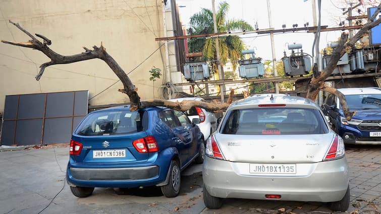 Pune Rain: Scary Video Shows Massive Tree Nearly Breaks A School Van In Half | WATCH Pune Rain: Scary Video Shows Massive Tree Nearly Breaks A School Van Into Half | WATCH