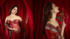 Tamannah Photos : ரோஜா மகள் போல் காட்சியளிக்கும் நடிகை தமன்னா!