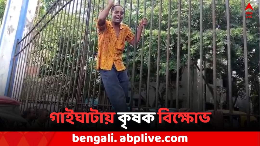 Farmer Show agitation and closed Farmers market gate for corruption at Gaighata in North 24 parganas Gaighata Farmer Agitation: দালাল রাজের অভিযোগ, প্রতিবাদে গাইঘাটা কৃষক বাজারের গেট আটকালেন চাষীরা