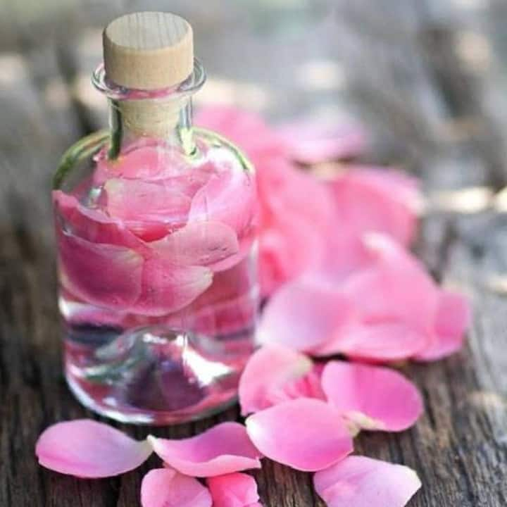 Rose Water : ਅਸੀਂ ਲਗਭਗ ਹਰ ਮੌਸਮ ਵਿੱਚ ਗੁਲਾਬ ਜਲ ਦੀ ਵਰਤੋਂ ਚਮੜੀ ਦੀਆਂ ਸਾਰੀਆਂ ਸਮੱਸਿਆਵਾਂ ਨੂੰ ਦੂਰ ਕਰਨ ਲਈ ਕਰਦੇ ਹਾਂ। ਇਸ ਦੀ ਰੋਜ਼ਾਨਾ ਵਰਤੋਂ ਚਮੜੀ ਨੂੰ ਚਮਕਦਾਰ ਵੀ ਬਣਾਉਂਦੀ ਹੈ।