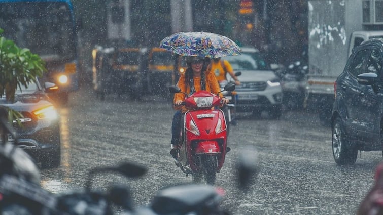 Pune Weather Update Next few hours are important for Pune red alert for the district  holidays for schools and offices what is the latest weather forecast पुण्यासाठी पुढचे काही तास महत्त्वाचे, जिल्ह्याला रेड अलर्ट, शाळा-कार्यालयांना सुट्टी, हवामानाचा ताजा अंदाज काय?