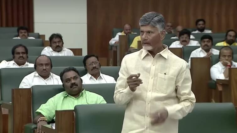 Chandrababu releases white paper on finance department in assembly Chandrababu: ఏపీలో పెండింగ్‌ బిల్లులు రూ.1,41,588 కోట్లు - చంద్రబాబు