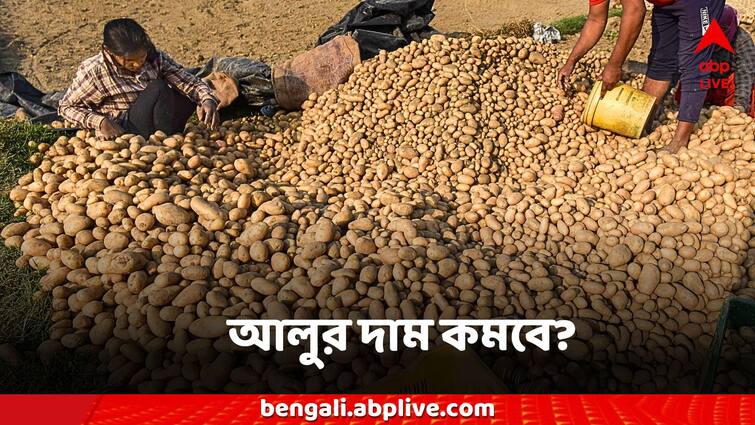 West Bengal Potato Market Price Hike nabanna decision to curb Potato Price: আলুর দাম বৃদ্ধি নিয়ে এবার বড় সিদ্ধান্ত! একই থাকবে মূল্য? না কমবে দাম?