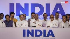 I.N.D.I.A-NDA में महायुद्ध! वो चार किरदार जिन पर मची खींचतान, नीतीश कुमार-चंद्रबाबू नायडू का भी आया नाम