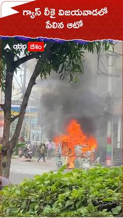 గ్యాస్ లీకై విజయవాడలో పేలిన ఆటో