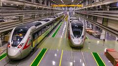 नमो भारत से यात्रा करने वालों के लिए खुशखबरी, लाइव म्यूजिकल इवेंट का भी ले सकेंगे मजा