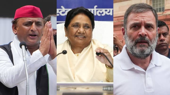 UP By-Election 2024: लोकसभा के बाद अब उत्तर प्रदेश में 10 विधानसभा सीटों पर उपचुनाव होने हैं. यूपी की सभी पार्टियां अपनी-अपनी प्लानिंग कर रही है. हालांकि, अब तक यूपी उपचुनावों की घोषणा नहीं हुई है.