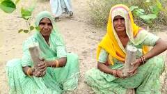 Rajasthan: 'बरस बरस मारा इंदर राजा', जोधपुर में मंगल गीत गाते हुए महिलाओं ने लगाए पौधे