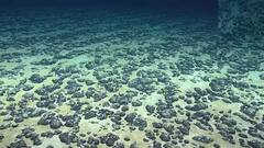 Dark Oxygen: દરિયાના પેટાળમાં મળી રહસ્યમયી વસ્તુ, વૈજ્ઞાનિકો પણ ચોંક્યા