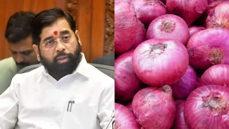 Maharashtra Rajya kanda Utpadak Shetkari Sanghatna alleges against state government over the Onion Mahabank decision Nashik Maharashtra Marathi News Onion Mahabank : कांदा महाबँक निर्मितीचे मुख्यमंत्र्यांचे निर्देश, कांदा उत्पादक शेतकरी संघटनेचा गंभीर आरोप, म्हणाले...