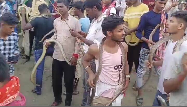 समस्तीपुर जिले के विभूतिपुर थाना क्षेत्र अंतर्गत सिंघियाघाट में नागपंचमी पर एक ऐसा मेला लगता है जिसे देखकर आप हैरान रह जाएंगे. यहां सांप को देखकर अच्छे-अच्छों की बोलती बंद हो जाती है. महिलाएं नागों का वंश बढ़ने की भी कामना करती है. मन्नत पूरी होने पर नागपंचमी के दिन गहवर में झाप और प्रसाद चढ़ाती हैं. लोगों का कहना है कि यहां मेले की शुरुआत सौ साल पहले हुई थी.