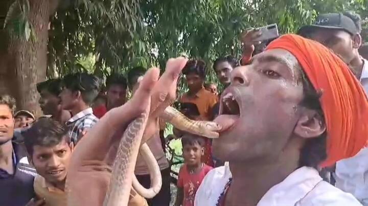 यहां नाग देवता की पूजा की परंपरा सैकड़ों साल से चली आ रही है. यह परंपरा विभूतिपुर में आज भी जीवंत है. यहां मूलत: गहवरों में विषहरा की पूजा होती है.